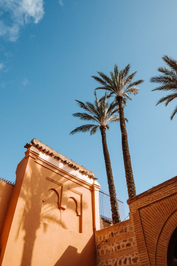 Explore the vibrant traditional architecture of Marrakesh with towering palm trees under a clear blue sky.